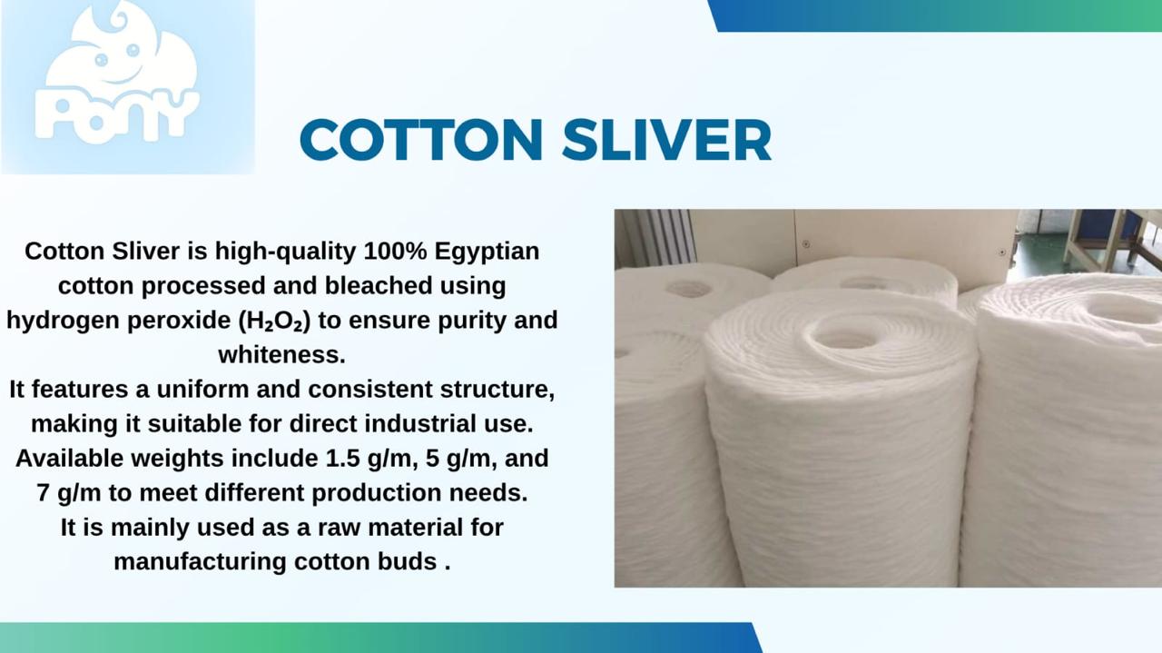 Rolls of white bleached cotton sliver in the factory